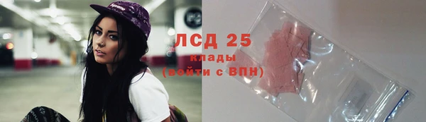 сатива Гусиноозёрск