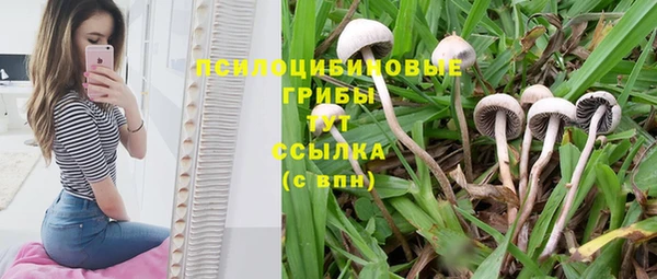 apvp Новокубанск