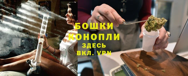 сатива Гусиноозёрск