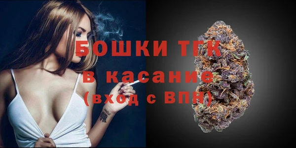 сатива Гусиноозёрск