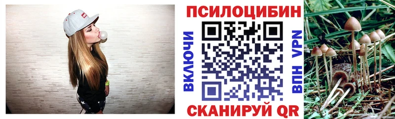 Псилоцибиновые грибы MAGIC MUSHROOMS  блэк спрут зеркало  Новохопёрск 